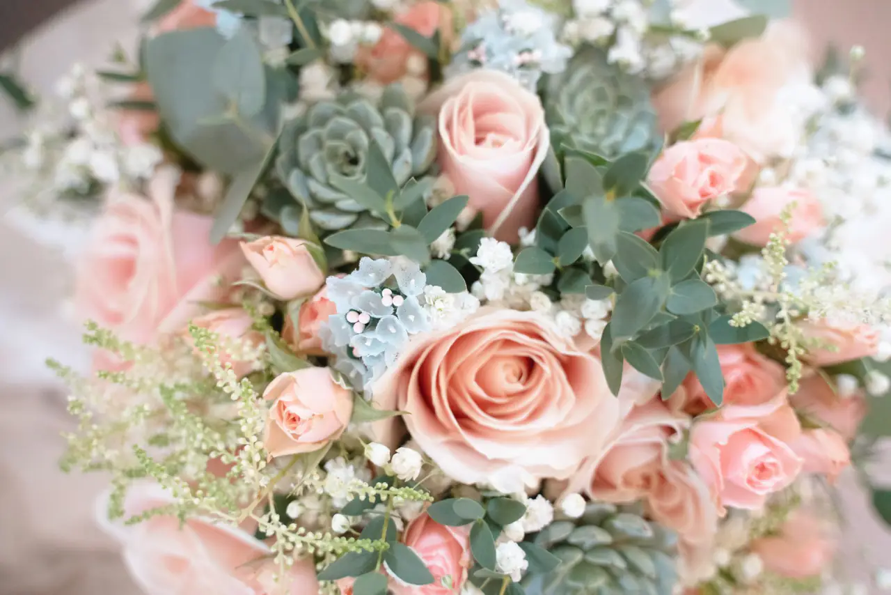 Blush roses and succulents